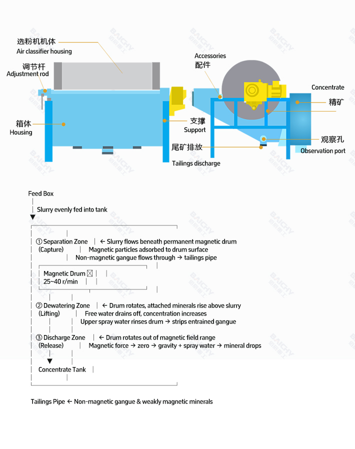 Schematic Diagram of Magnetic Separator Structure and Its Four Physical Stages