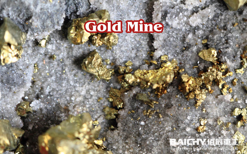 Gold Mine