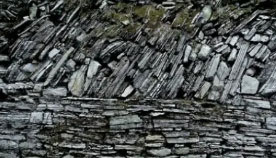 Carbonaceous shale