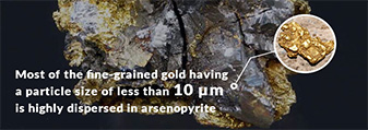 Gold in arsenopyrite