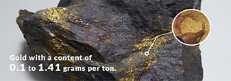 Iron oxide copper gold ore