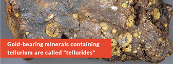 Tellurium gold ore